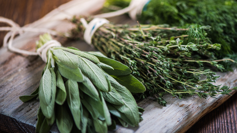 fresh bunches of herbs