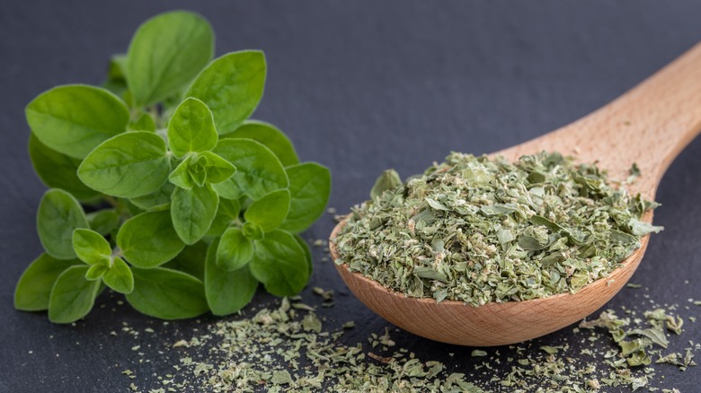 Spoon of dried oregano 