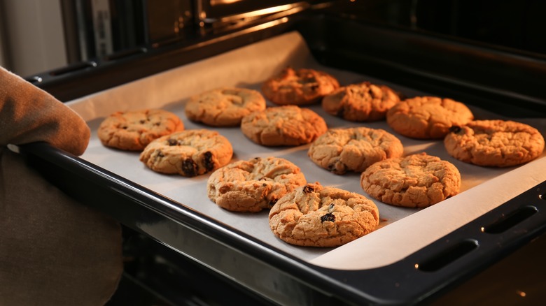 taking chocolate chip cookies out of oven