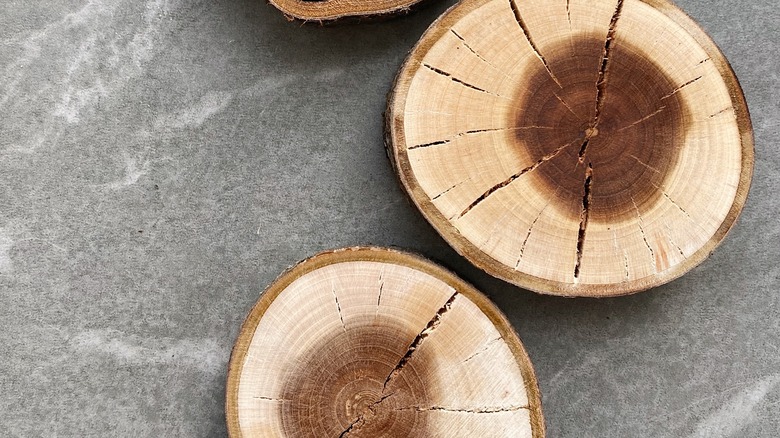 Round cuts of cherry wood