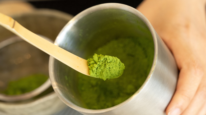 scooping matcha powder