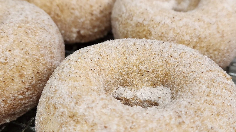 Vegan cinnamon donuts at Andy K's Donuts