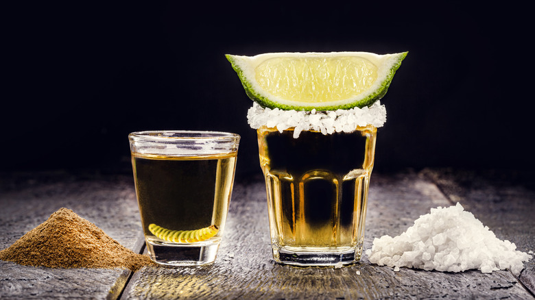 Shots of tequila and mezcal