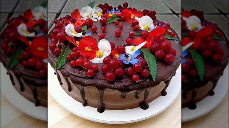 chocolate cake with begonia flowers and fruit