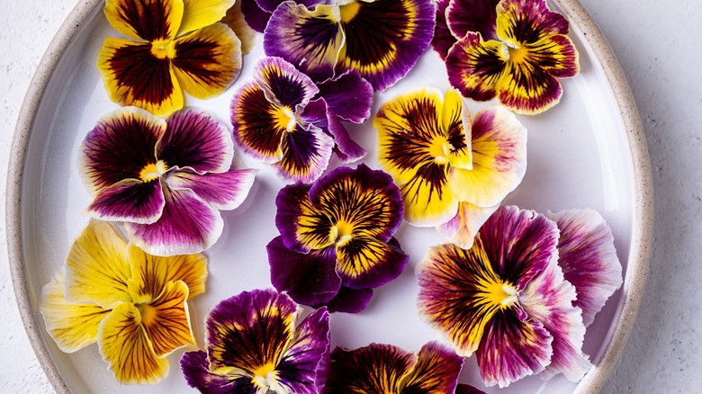 Edible colored flowers on plate