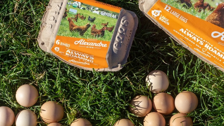 Alexandre Family Farm eggs