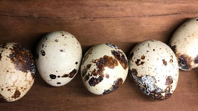 Manchester Farms quail eggs