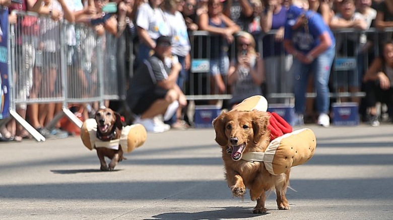 Oktoberfest Zinzinnati "Running of the Weiners" 