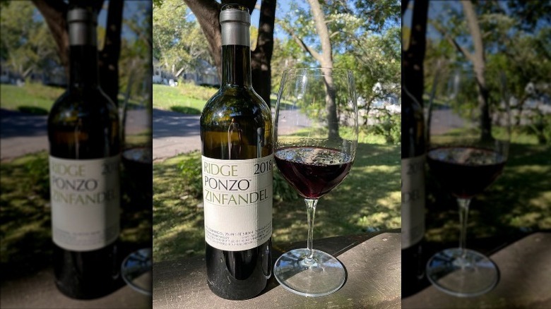 Zinfandel