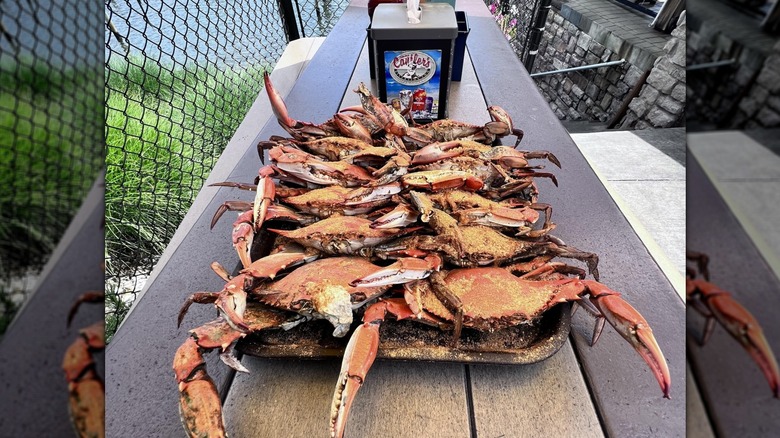 Piles of crabs on table outdoors