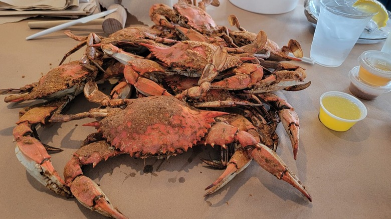 Crabs and melted butter on table