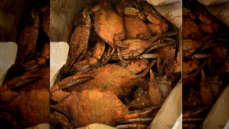 Crab with shells s in a brown bag