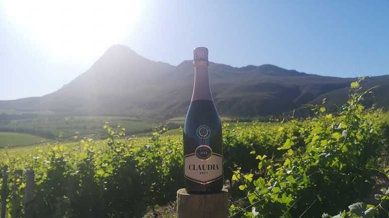 Bottle of wine against mountain range