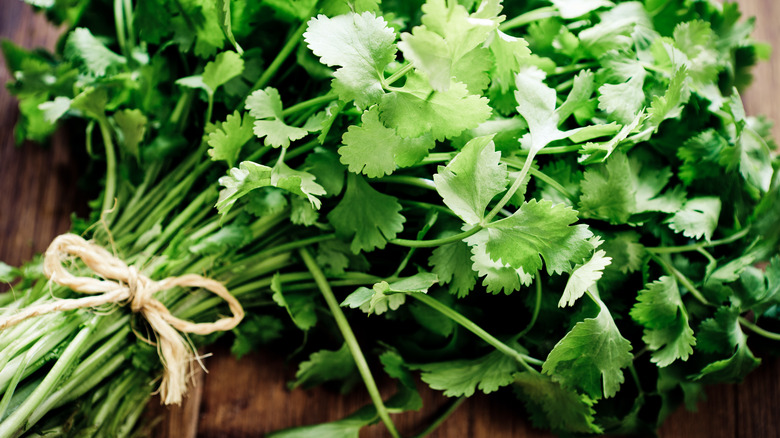 cilantro on cutting board