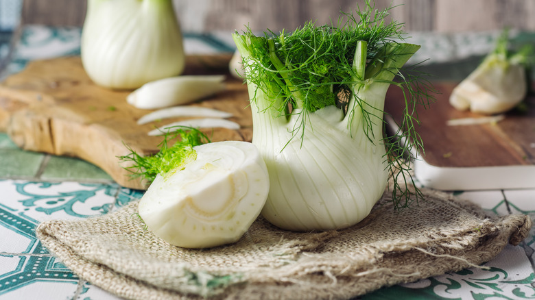 fresh fennel on counter