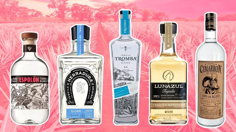 Five bottles of tequila against a pink-filtered field of agave plants