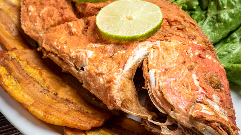 fried red snapper with plantains