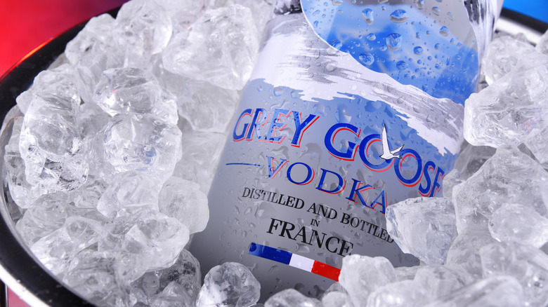 Grey Goose on ice