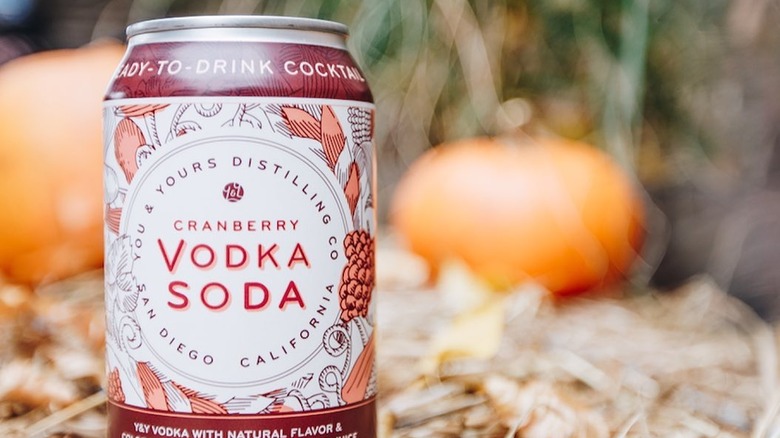 You & Yours Distilling Co. Cranberry Vodka Soda