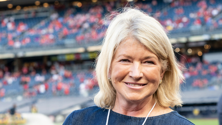 Martha Stewart at baseball game