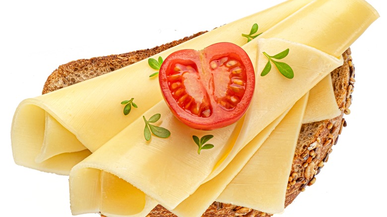 Cheese on bread with tomato 