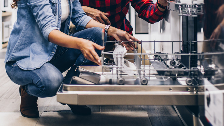 Dishwasher instant pot