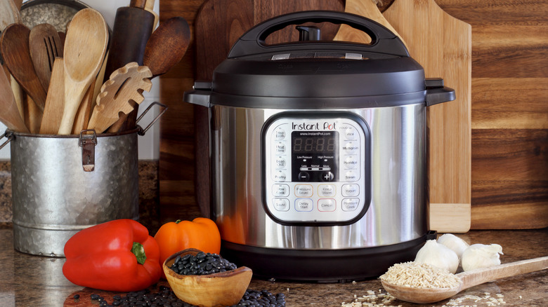 13 Common Mistakes Everyone Makes With Their Instant Pot
