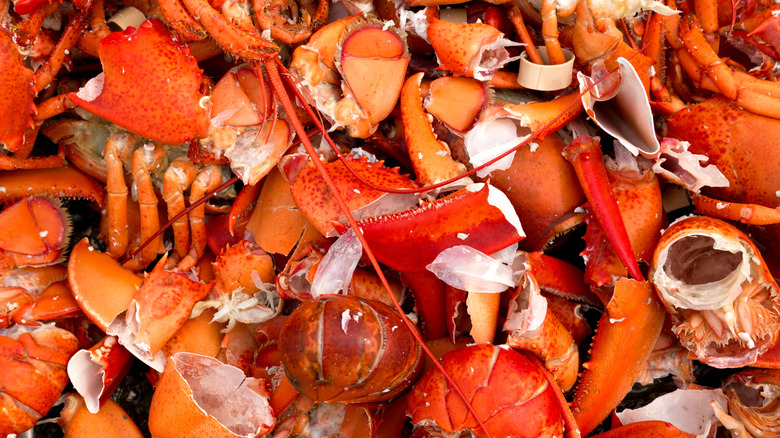 Pile of red lobster shells