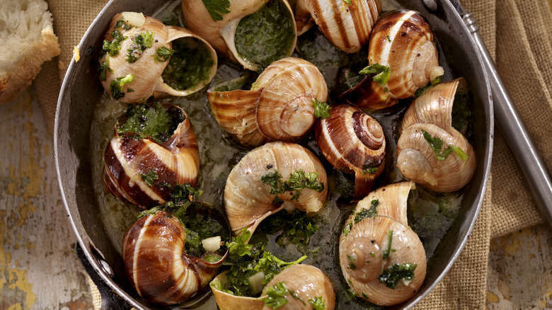 Escargot snail shells with garlic and parsley