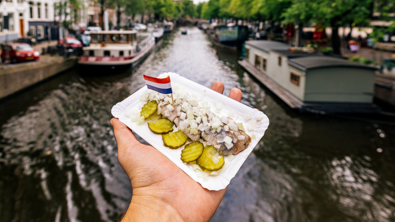 Pickled herring with pickles and diced onion in front of an Amsterdam canal