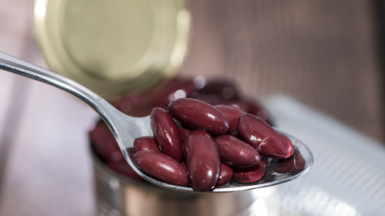 Canned kidney beans on a spoon