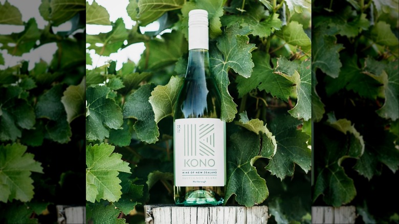 Sauvignon blanc bottle against leaves