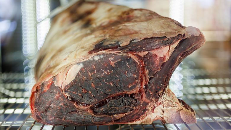 a large cut of dry-aged beef on metal rack