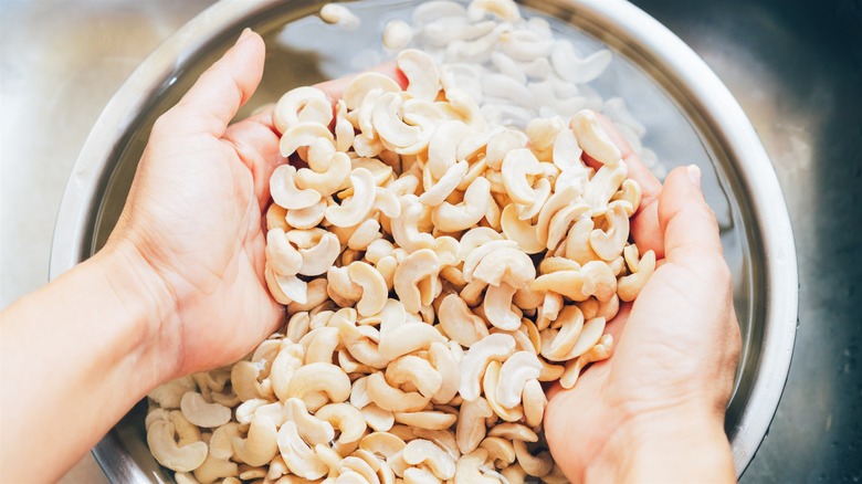 Hands holding soaked cashews