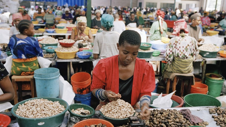 Women at cashew processing facility