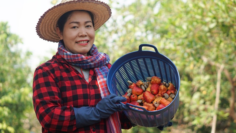 Thai cashew farmer with basket