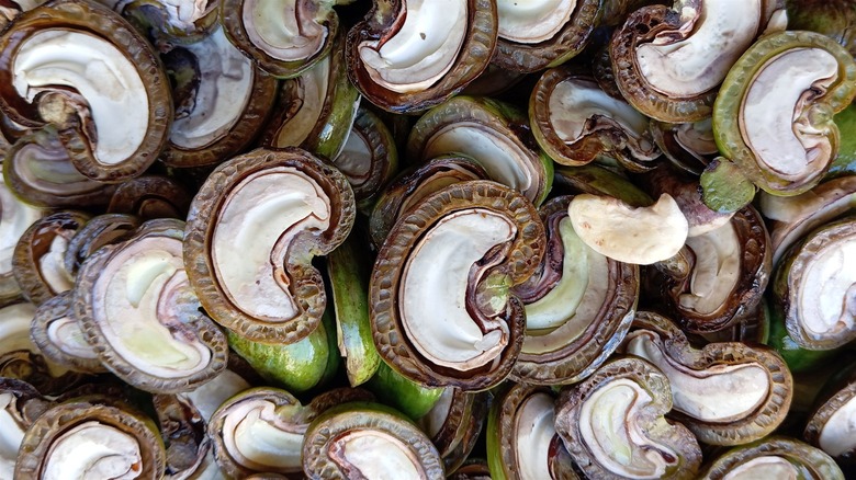 Raw cashew nuts in shells