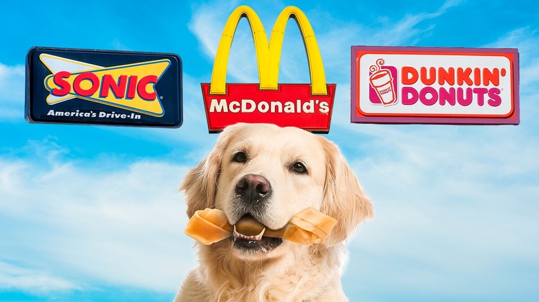 Dog with a treat underneath three fast food chain logos against a blue sky