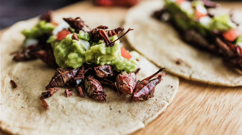 Tacos de chapulines