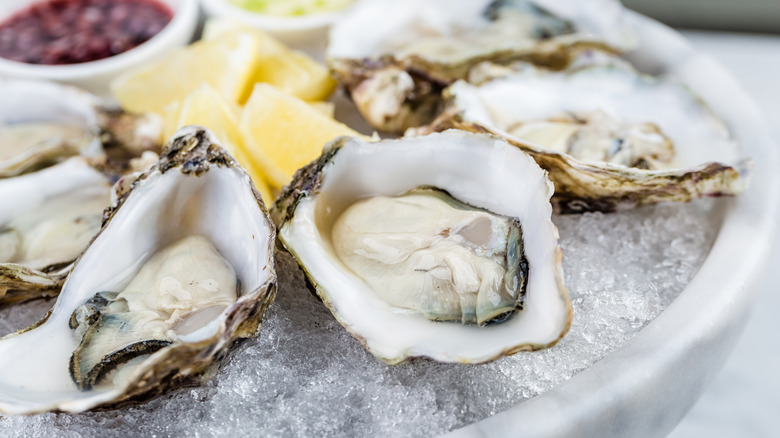 Raw oysters on ice