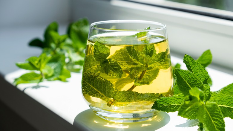 Water infused with mint leaves