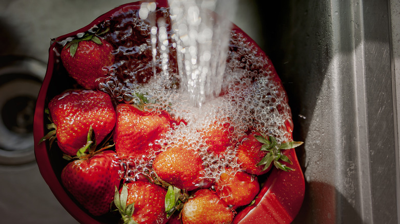 Bowl of strawberries being washed