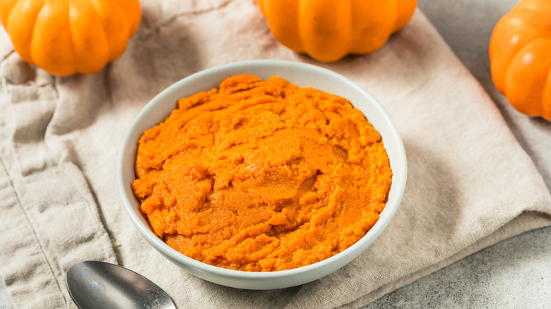 Organic canned pumpkin in a dish