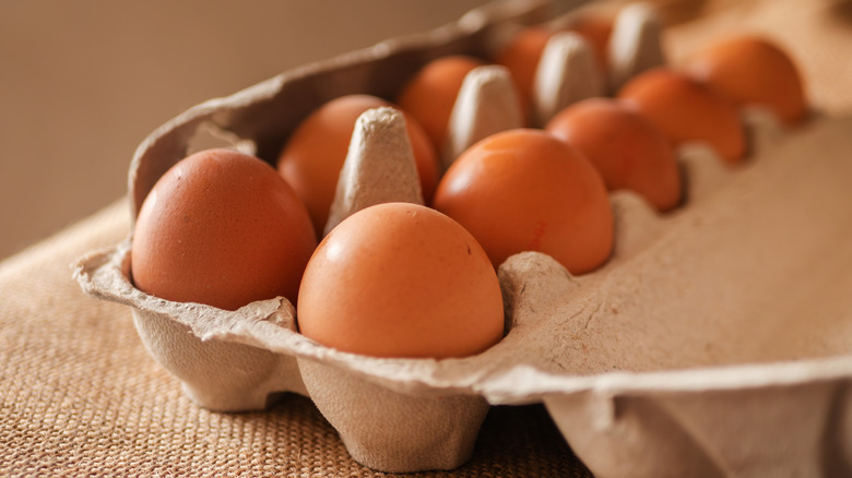 Eggs in a carton on light fabric