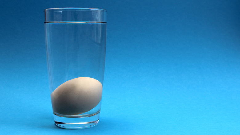 Egg in glass cup