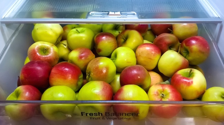 Crisper drawer full of apples