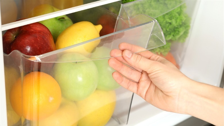 Apples and citrus fruit in crisper drawer