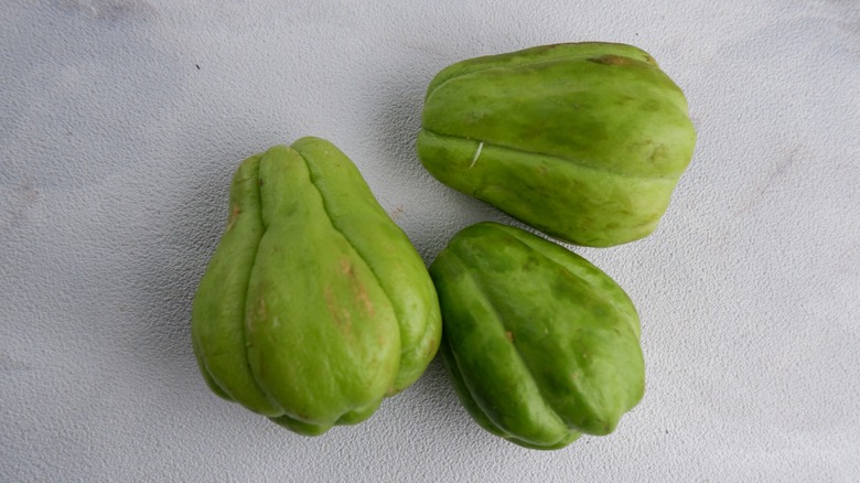 Chayote on a gray background