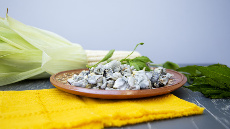 Huitlacoche, a corn fungus