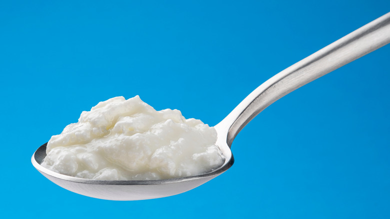 curdled milk on spoon